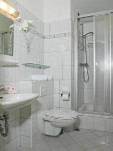 a bathroom with a toilet and a shower and a sink at Haus Bayerwald in Neureichenau