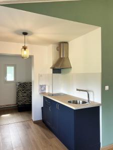 a kitchen with blue cabinets and a sink at Makivka - A 5 min de Cognac - Maison entière avec 2 chambres in Boutiers-Saint-Trojan