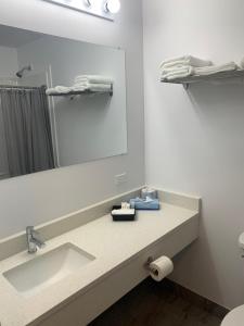 a bathroom with a sink and a mirror at Nor Villa Hotel in Winnipeg