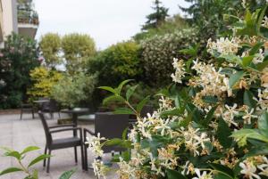 Zahrada ubytování Hotel Astoria