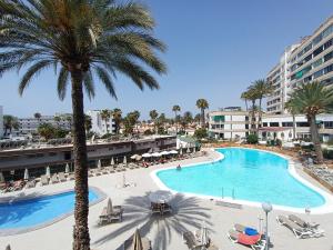 a view of a pool with a palm tree and buildings at koka vacations 308 Playa del inglés in San Bartolomé de Tirajana