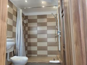 a bathroom with a toilet and a shower at Casa Rezidentiala Aria in Cluj-Napoca