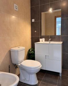 a bathroom with a toilet and a sink and a mirror at Douro Valley Terrace Apartments in Armamar +22 photos