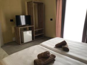 um quarto de hotel com duas camas e uma televisão em TE BUJTINA HOTEL em Golem
