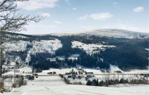 Blick auf einen schneebedeckten Berg mit Bäumen in der Unterkunft Stunning Home In len With Kitchen in Ålen