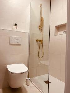 a bathroom with a toilet and a shower at Oleander Apartment & Room Centar in Hvar