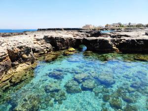 a pool of water on a rocky beach at Broom House in San Foca