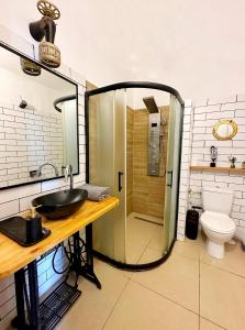 uma casa de banho com um lavatório e um chuveiro com um WC. em על קצה ההר em Yoqne‘am