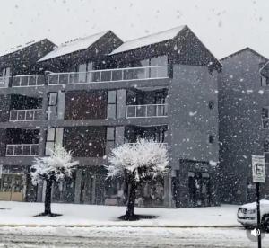 two trees in front of a building in the snow at Andes Departamentos in El Bolsón