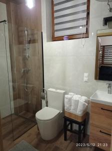a bathroom with a toilet and a shower and a sink at Loft Park Zator, lokalizacja przy wej Parku in Zator +36 photos