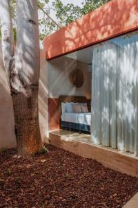a bed in a glass house next to a tree at Casa Mara 45 in Mérida
