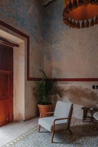 una habitación con una silla y una maceta en Casa Mara 45, en Mérida