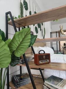 a book shelf with a radio and a plant at Φρίντα στο κέντρο της Ορεστιάδας in Orestiada