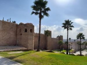 a wall with palm trees in front of it at Nice apartment beach front, close to Rabat main sightseeing. Fiber WiFi in Rabat