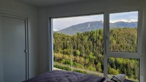 Γενική θέα στο βουνό ή θέα στο βουνό από  αυτό το διαμέρισμα