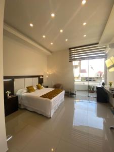 a large bedroom with a bed and a large window at HOTEL INNOVA in Tarija