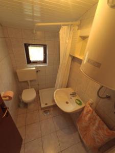 un piccolo bagno con servizi igienici e lavandino di Apartments by the sea Stara Novalja, Pag - 4153 a Novalja (Novaglia)