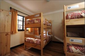 Ένα ή περισσότερα κρεβάτια σε δωμάτιο στο Bear Packer Hostel