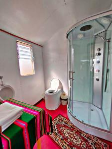 uma casa de banho com uma cabina de duche em vidro e um WC. em Titicaca Origins Perú em Puno