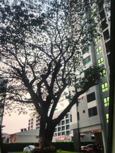 Fotografie z fotogalerie ubytování The base central pattaya by bobby v destinaci Pattaya Central