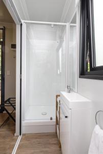 a bathroom with a shower and a white sink at 2 Peas In A Pod in Wellington