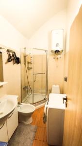 a bathroom with a shower and a toilet and a sink at Guest House Гостевой Дом in Chişinău
