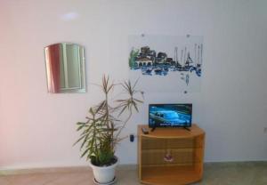 a room with a tv on a cabinet and a plant at Josip II - 150 m from beach in Baška Voda