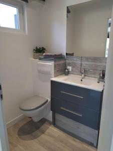 a bathroom with a toilet and a sink and a mirror at Studio 26 in Vic-le-Comte