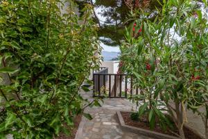 Сад в Pelagos Seafront Accommodation - Maria
