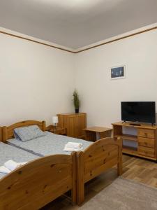 TV a/nebo společenská místnost v ubytování Global Apartmanház