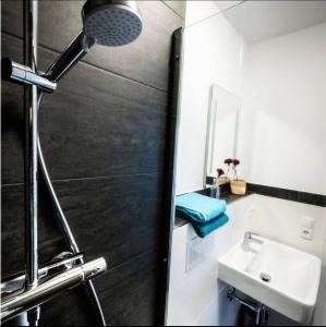 La salle de bains est pourvue d'une douche et d'un lavabo. dans l'établissement Haus Sebald, à Sankt Martin