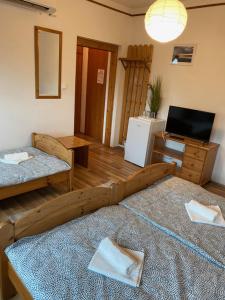TV a/nebo společenská místnost v ubytování Global Apartmanház