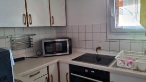 a kitchen with a sink and a microwave at Schöne 2-Zimmer Ferienwohnung in Löffingen
