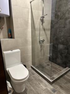 a bathroom with a toilet and a shower at Kechi in Tsaghkadzor
