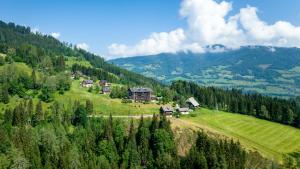 Una colina verde con casas y árboles. en Bergkristall Ruhe und Aussicht auf 1100m en Sankt Lorenzen ob Murau