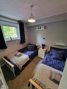 um quarto com 2 camas, um sofá e uma janela em Holly Lodge em Pembrokeshire