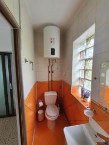 a small bathroom with a toilet and a sink at Magic Home in Slănic