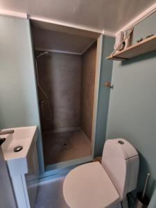 La petite salle de bains est pourvue d'une douche et de toilettes. dans l'établissement Holiday Home Justadvika, à Justad