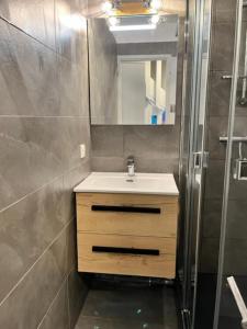 uma casa de banho com um lavatório e um chuveiro em Duplex Aiguille du Midi furnished flat em Chamonix-Mont-Blanc