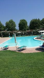 una gran piscina con bancos y sombrillas en Casa Sara con Wifi e piscina comune, a soli 2 km dal mare en Cecina