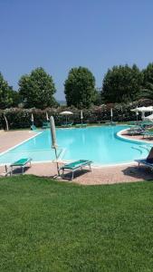 una gran piscina con bancos y sombrillas en Casa Sara con Wifi e piscina comune, a soli 2 km dal mare, en Cecina