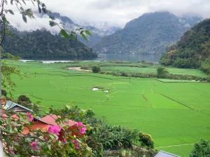 a large green field with a lake and mountains at Hoàng Nguyên Homestay Ba Be in Ba Be18