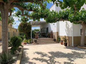 un cortile di un edificio con alberi e scale di Casa Enric 2 a Deltebre