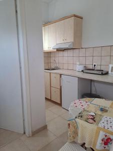 cocina con fregadero y encimera en Evridiki Apartments, en Mesongi