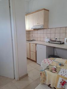 Kuchnia lub aneks kuchenny w obiekcie Evridiki Apartments