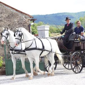 two people riding in a horse drawn carriage at HOSTEL-SezanaLOKEV B&B in Sežana