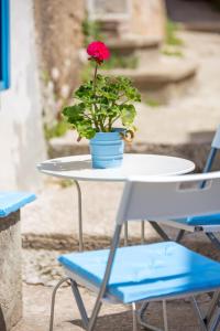 Фотография из галереи Mediterranean house Markoc new renovated! в Бели