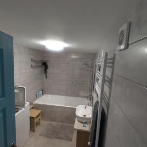 a bathroom with a bath tub and a sink at Old Buda Family Home in Budapest