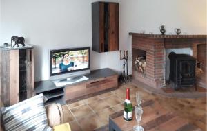 sala de estar con TV y chimenea en 2 Bedroom Amazing Home In Flammersfeld, en Flammersfeld
