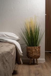 une plante dans un panier assis à côté d'un lit dans l'établissement Air Apartment 312, à Vilnius